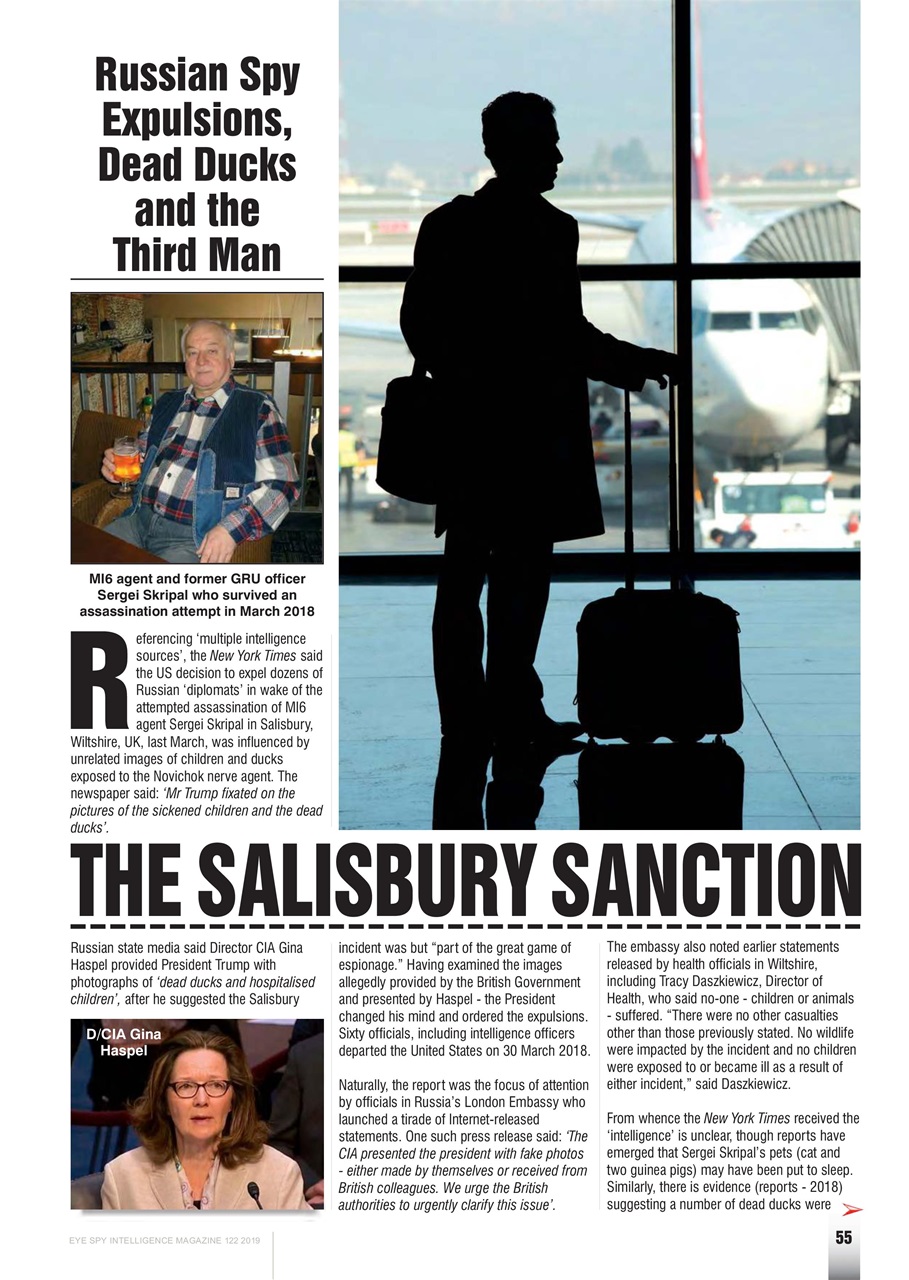 Eye Spy Preview Pages