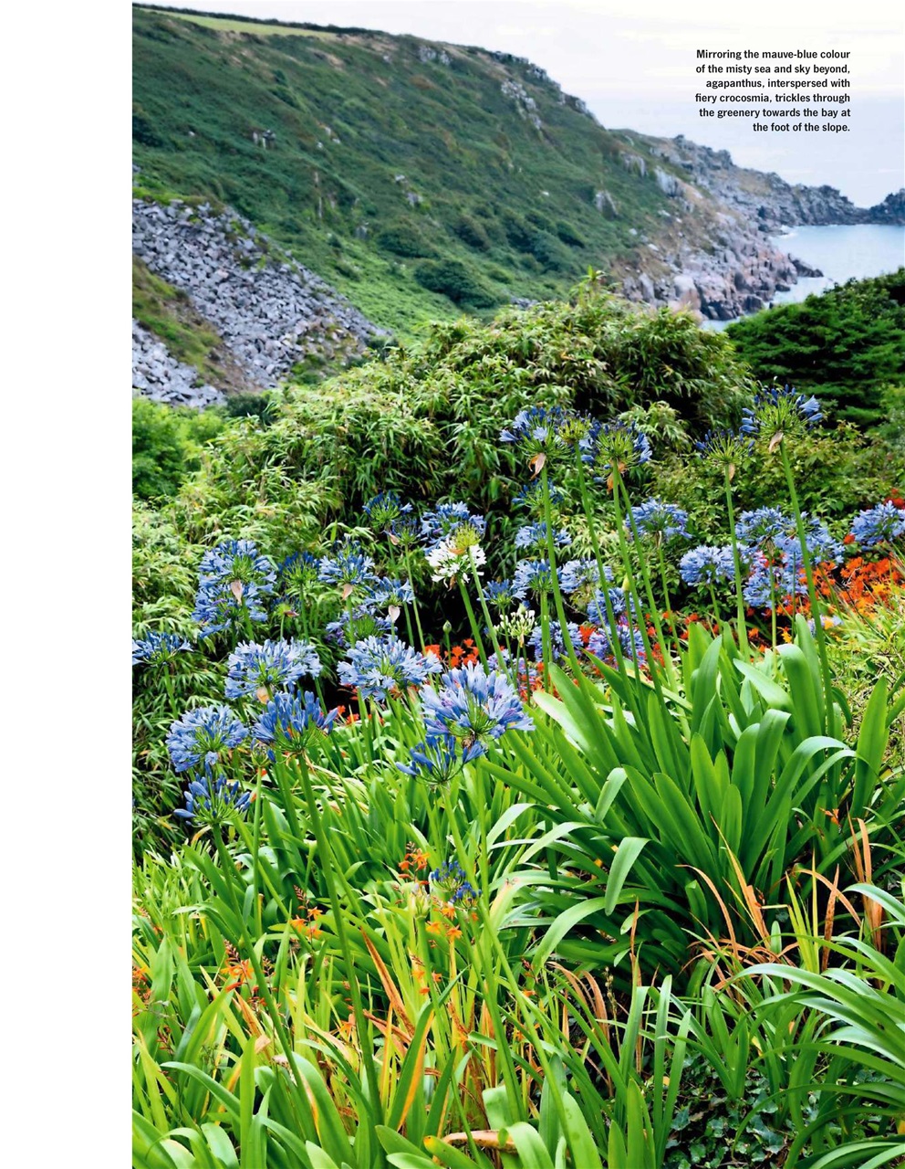 LandScape Preview Pages