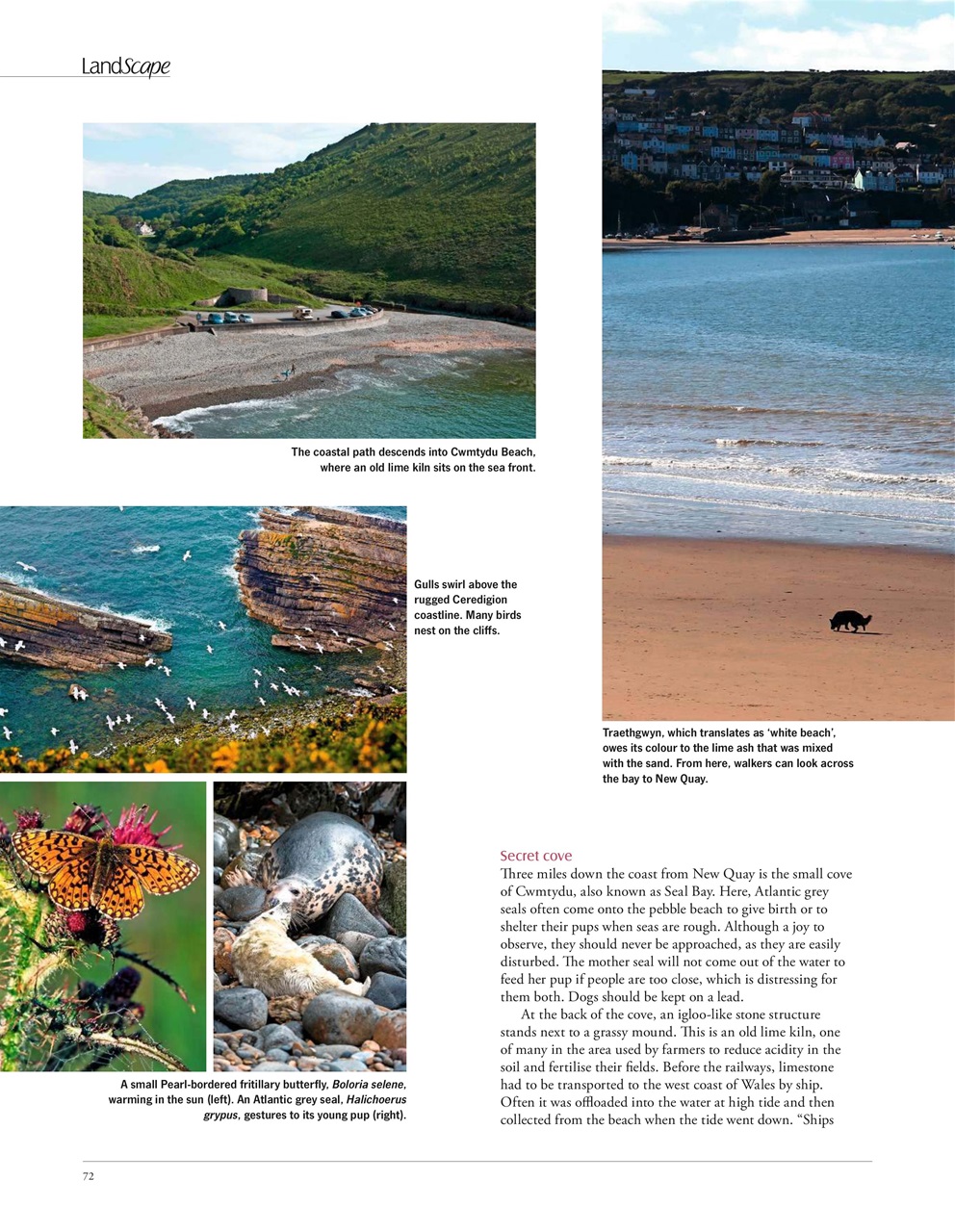 LandScape Preview Pages