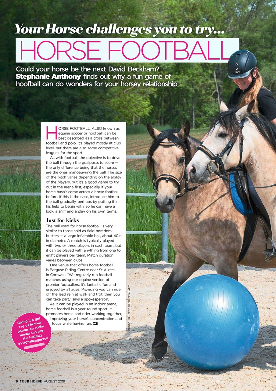 Your Horse Preview Pages