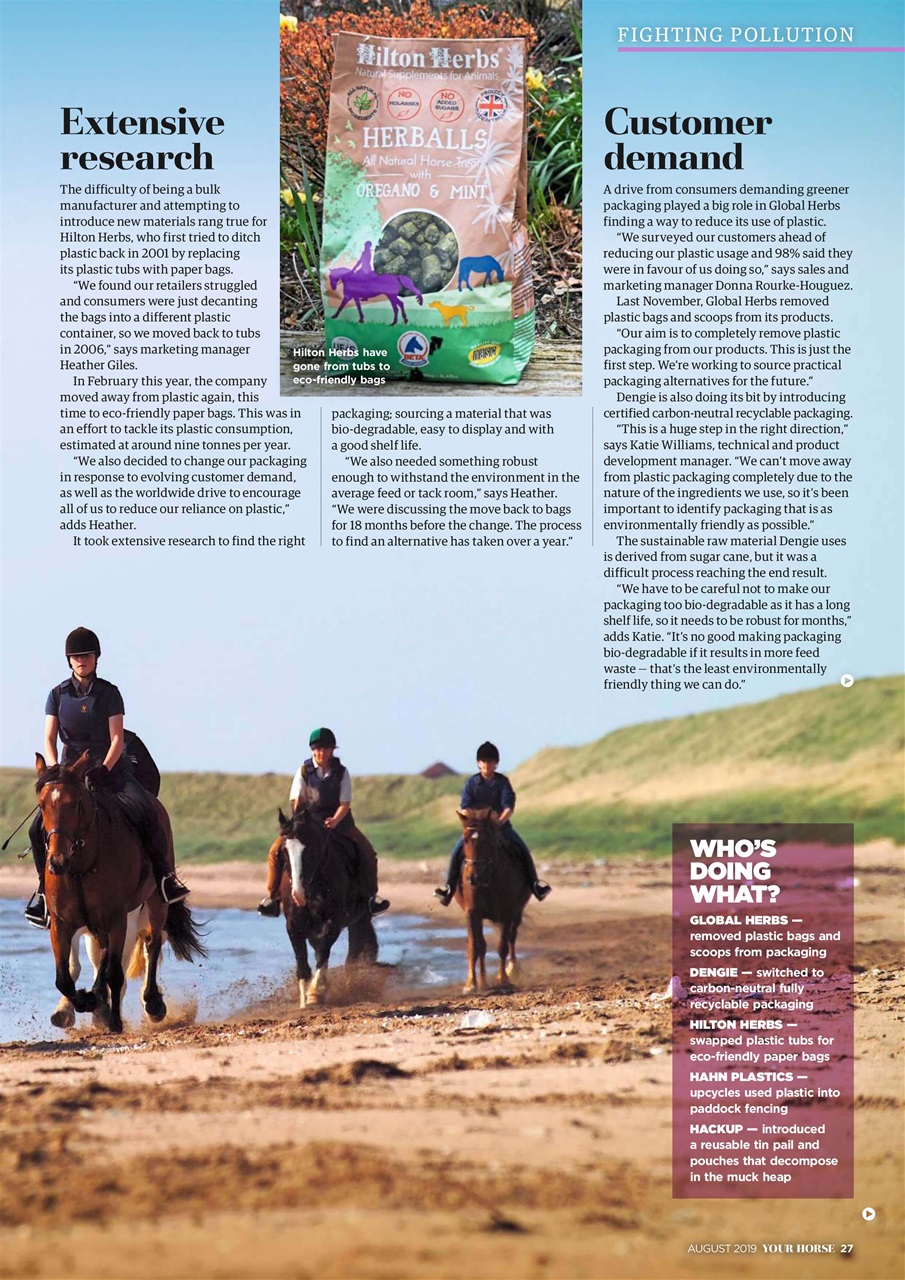 Your Horse Preview Pages