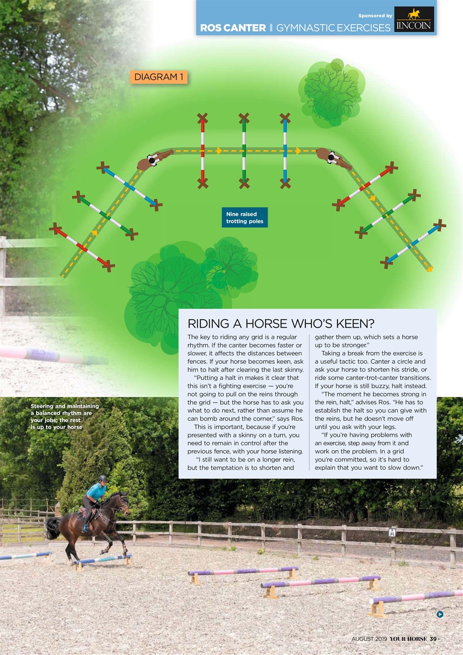 Your Horse Preview Pages