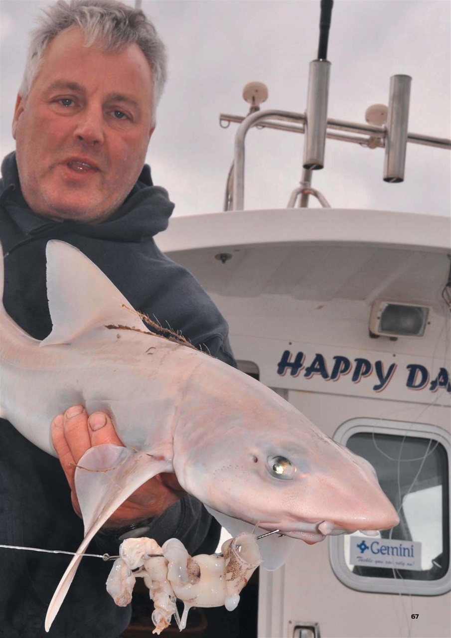 Sea Angler Preview Pages