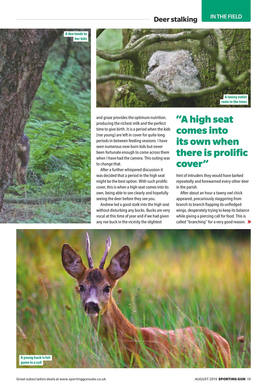 Sporting Gun Preview Pages