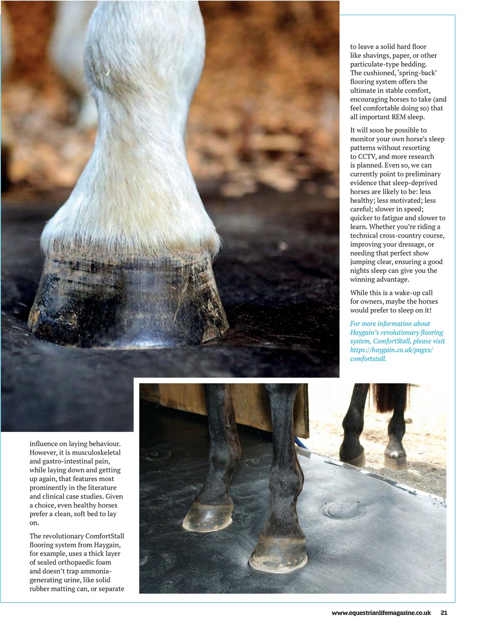 Equestrian Life Magazine Preview Pages