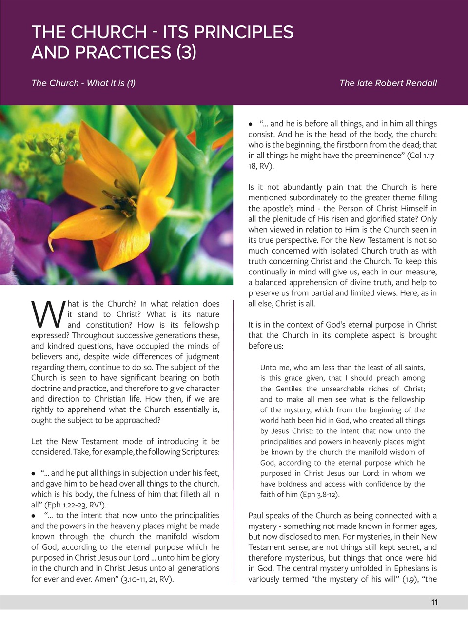 Believer Magazine Preview Pages