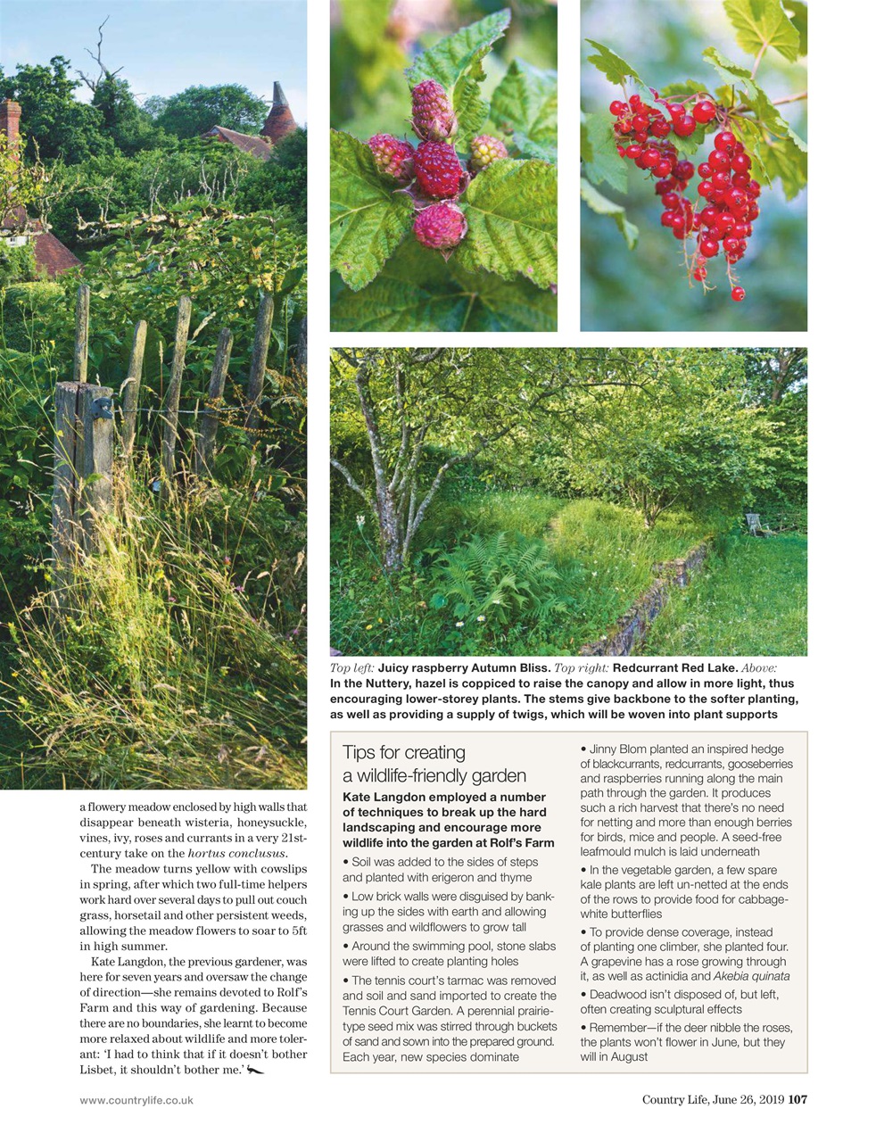 Country Life Preview Pages