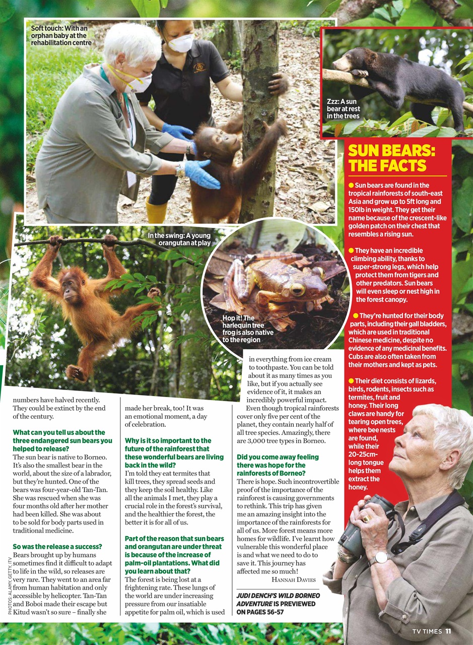 TV Times Preview Pages