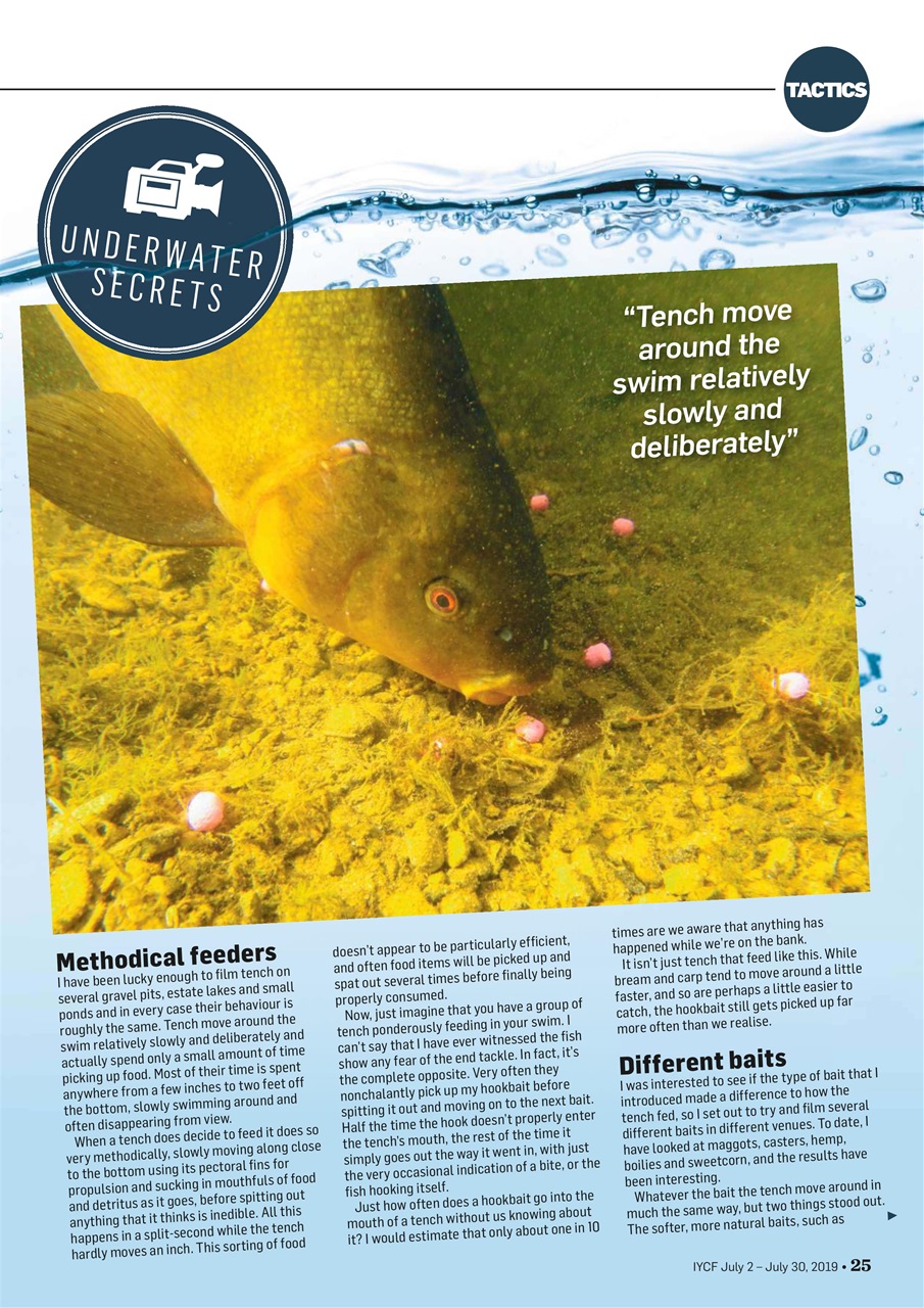 Improve Your Coarse Fishing Preview Pages