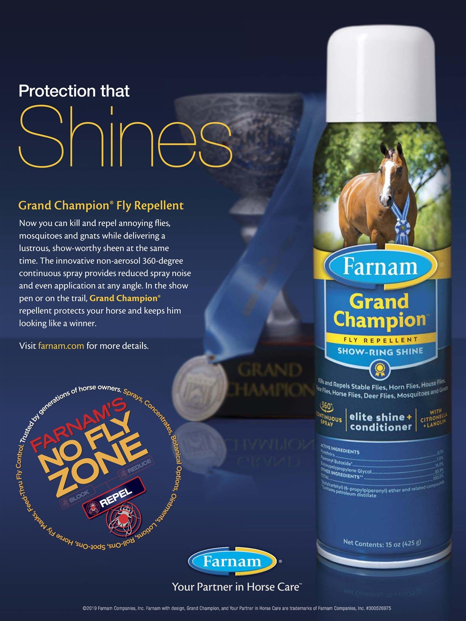 Young Rider Magazine Preview Pages