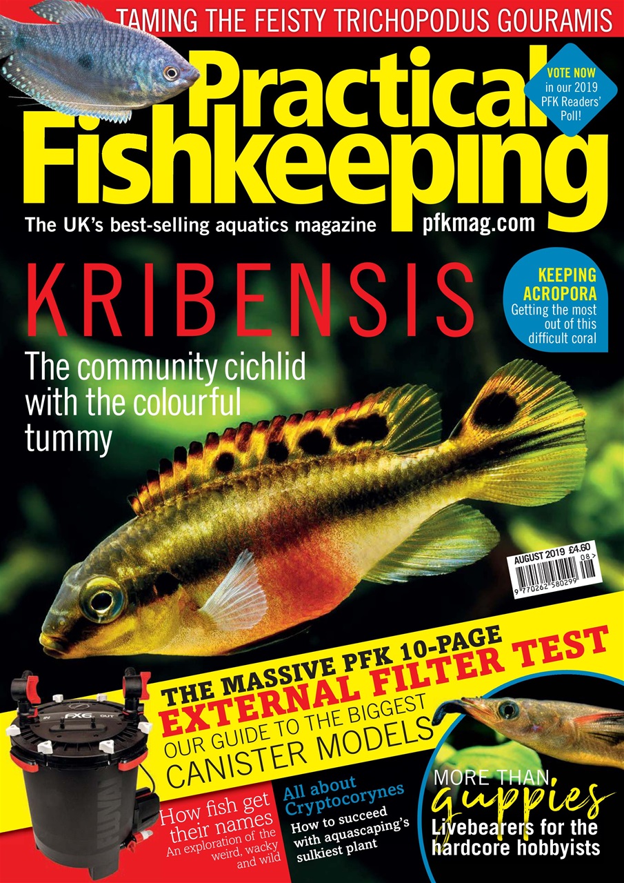 Practical Fishkeeping Preview Pages