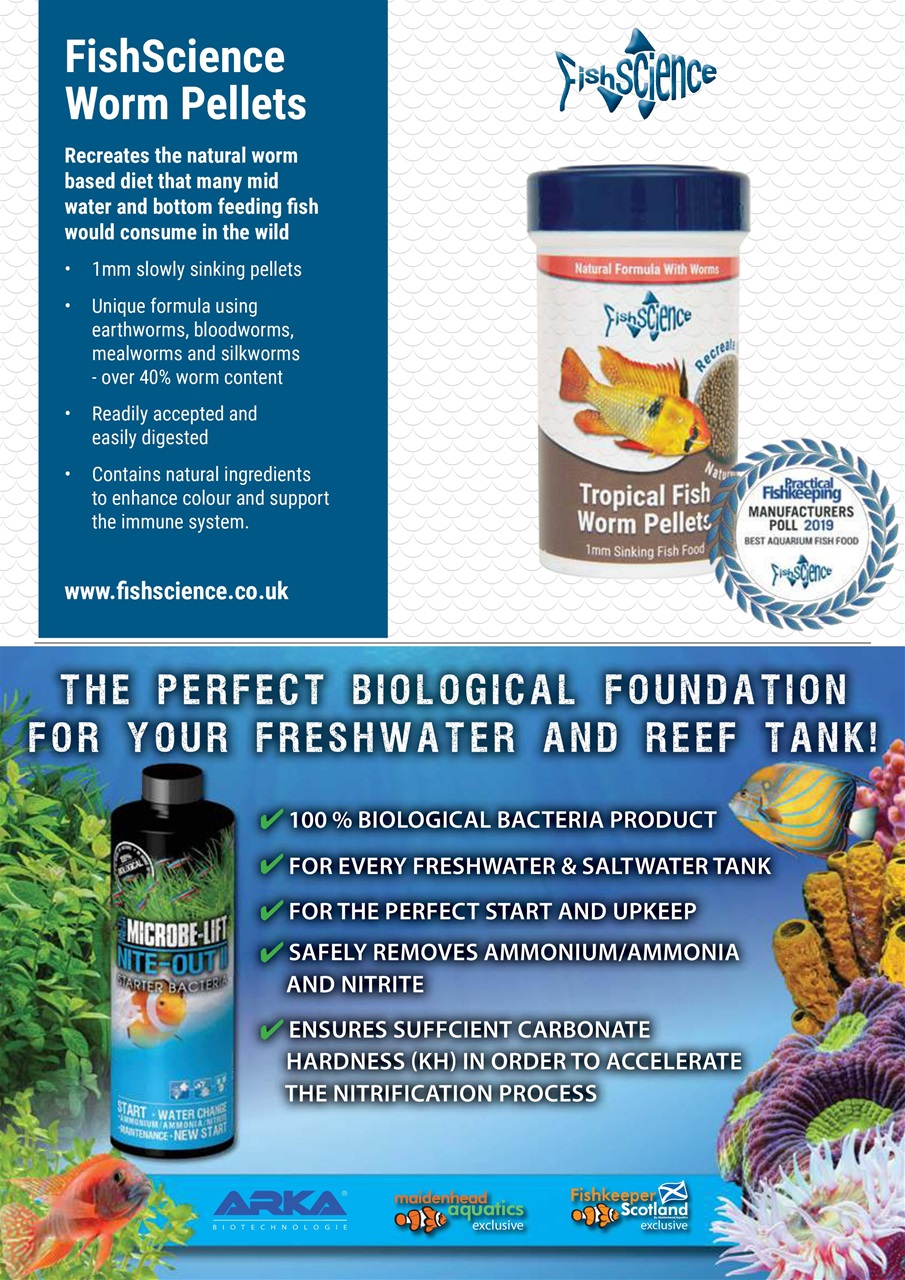 Practical Fishkeeping Preview Pages
