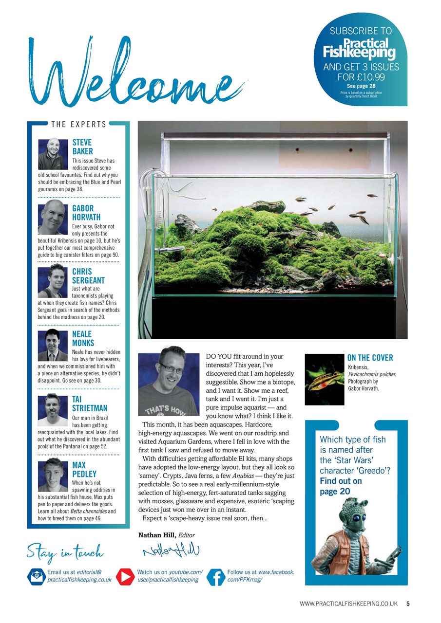 Practical Fishkeeping Preview Pages