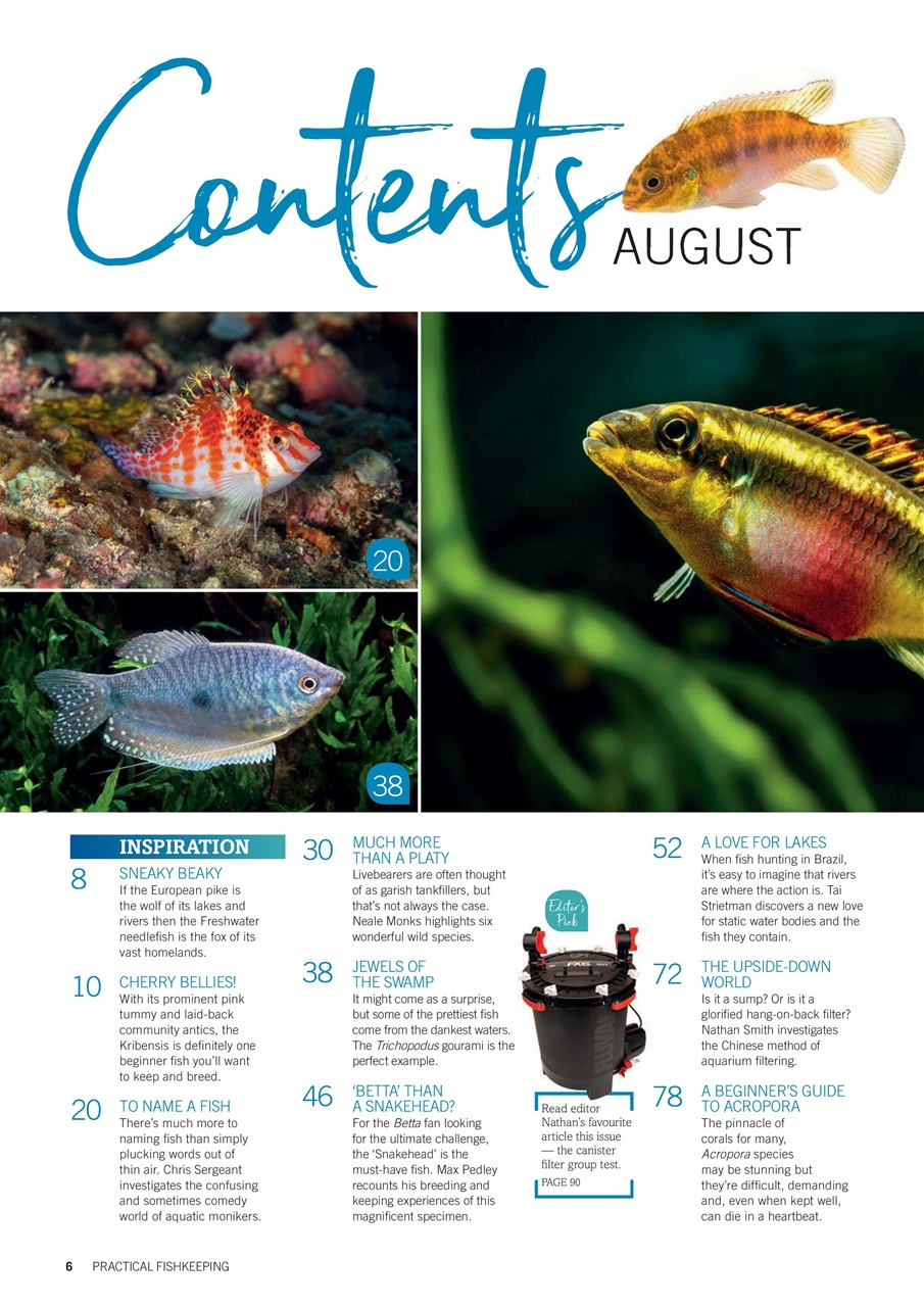 Practical Fishkeeping Preview Pages