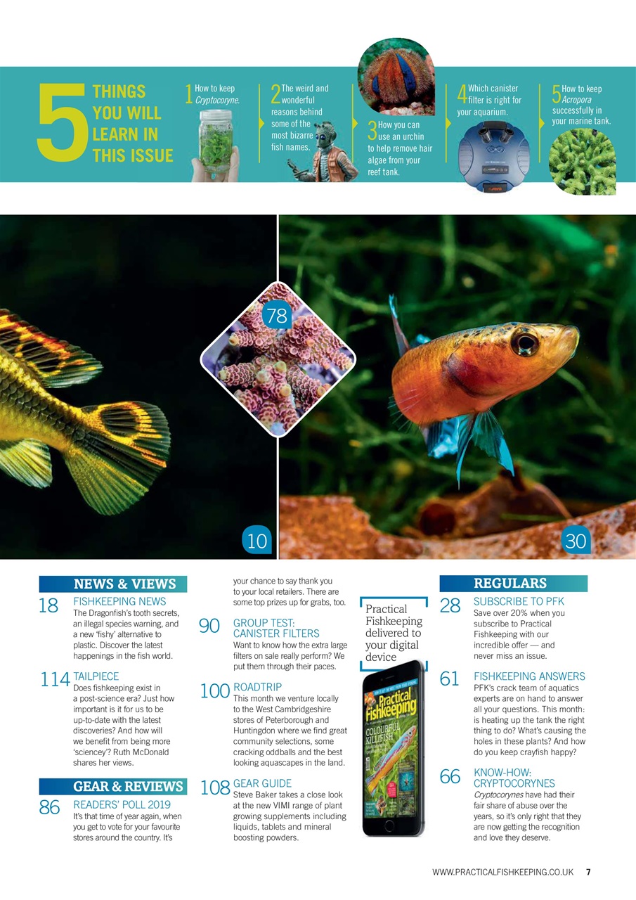 Practical Fishkeeping Preview Pages