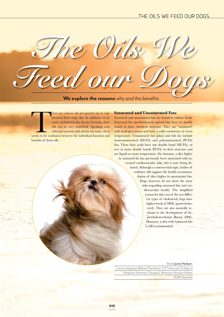 Edition Dog Preview Pages