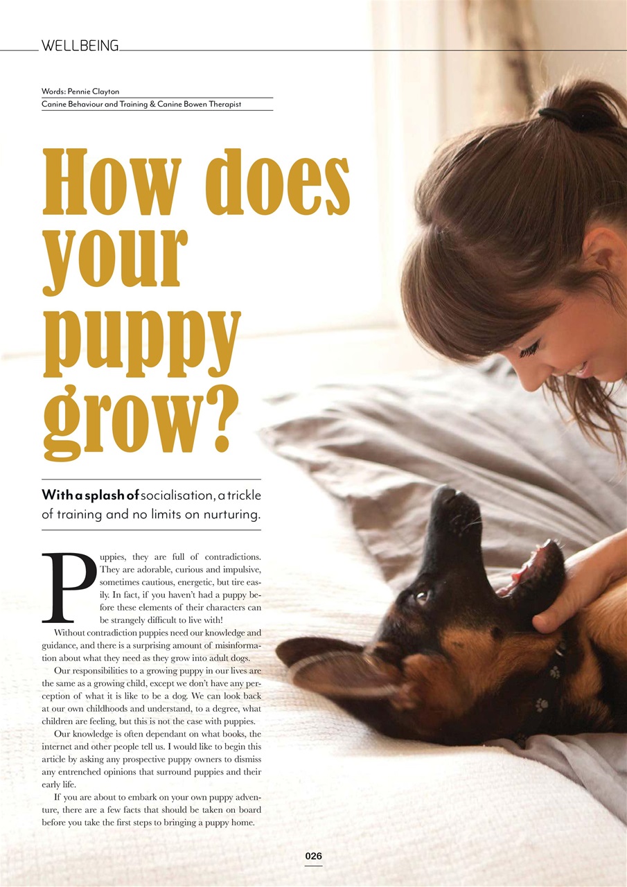 Edition Dog Preview Pages