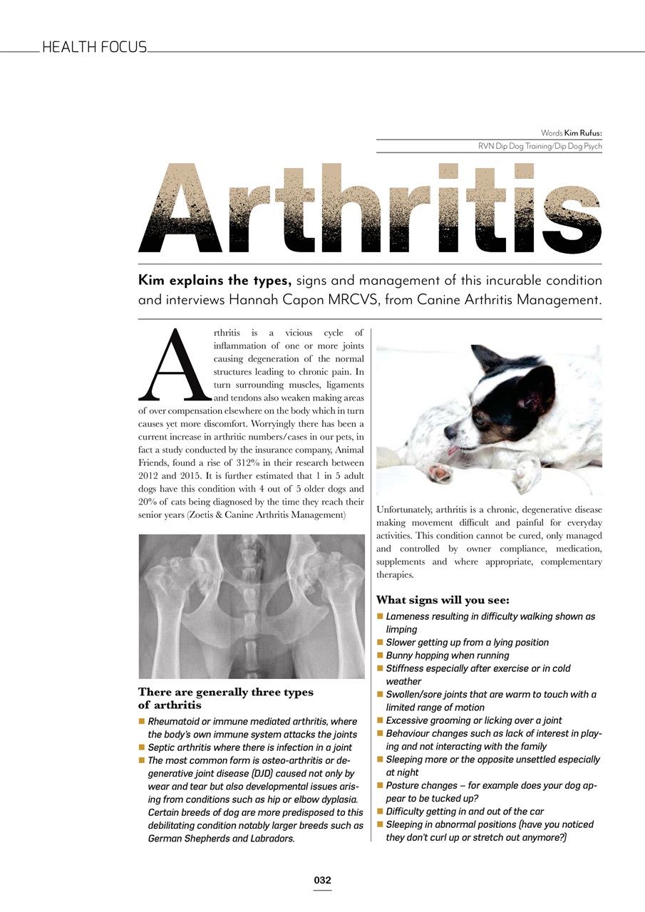 Edition Dog Preview Pages