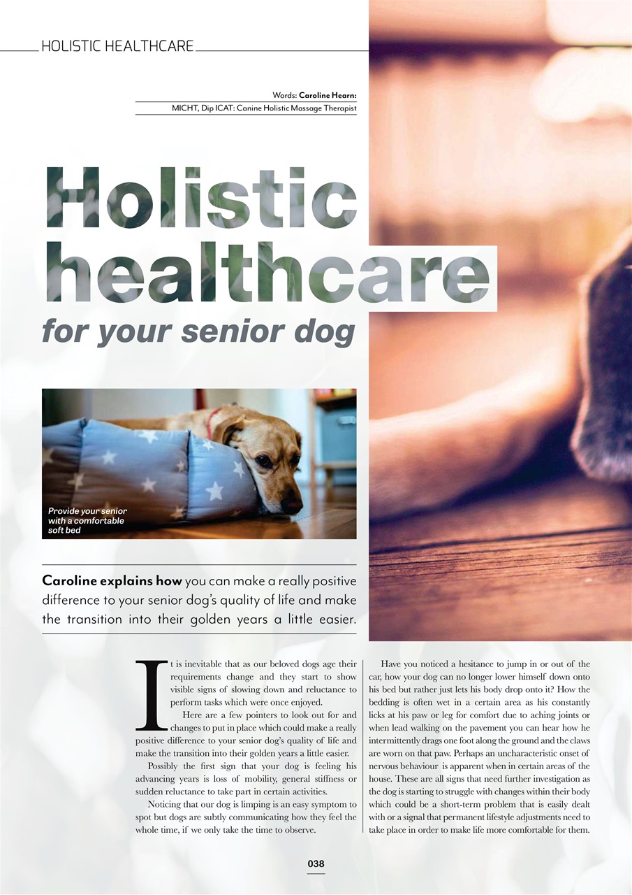 Edition Dog Preview Pages