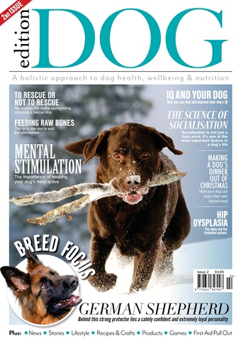 Edition Dog issue Issue 2