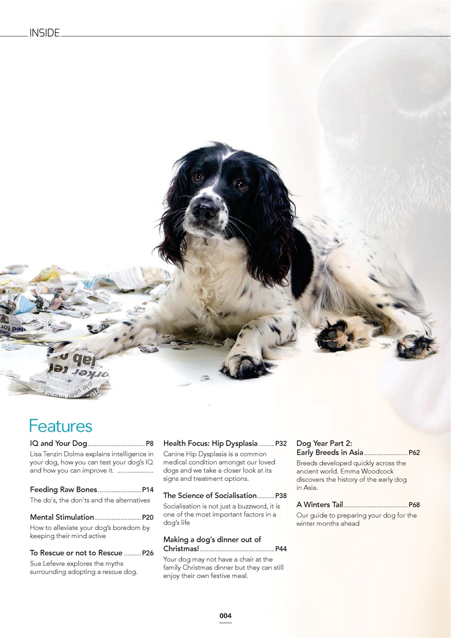 Edition Dog Preview Pages