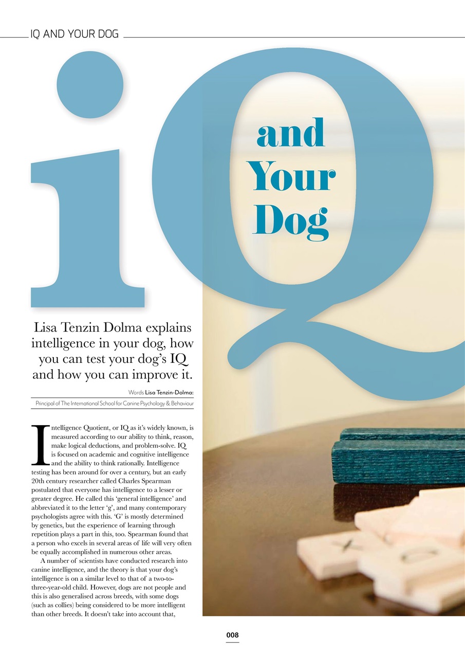 Edition Dog Preview Pages