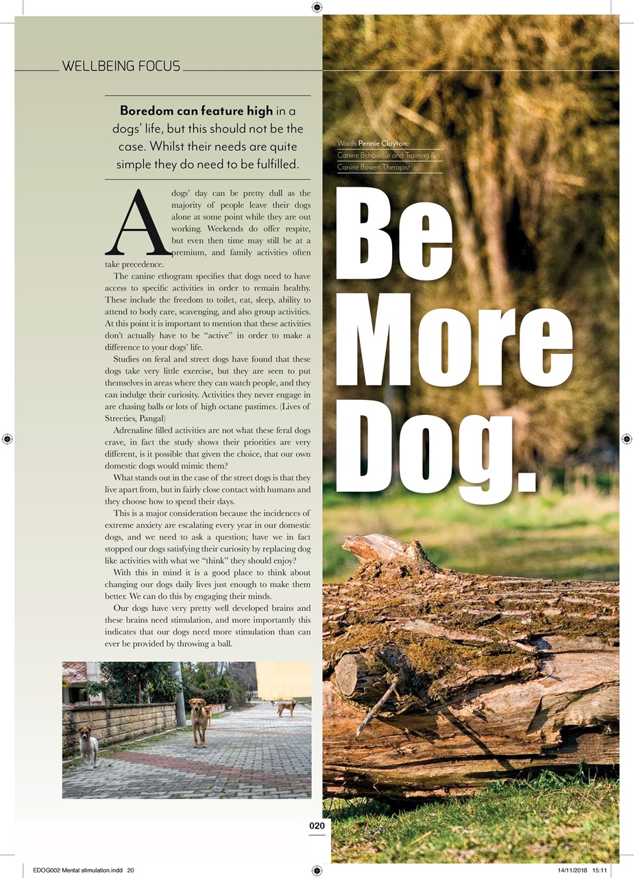 Edition Dog Preview Pages