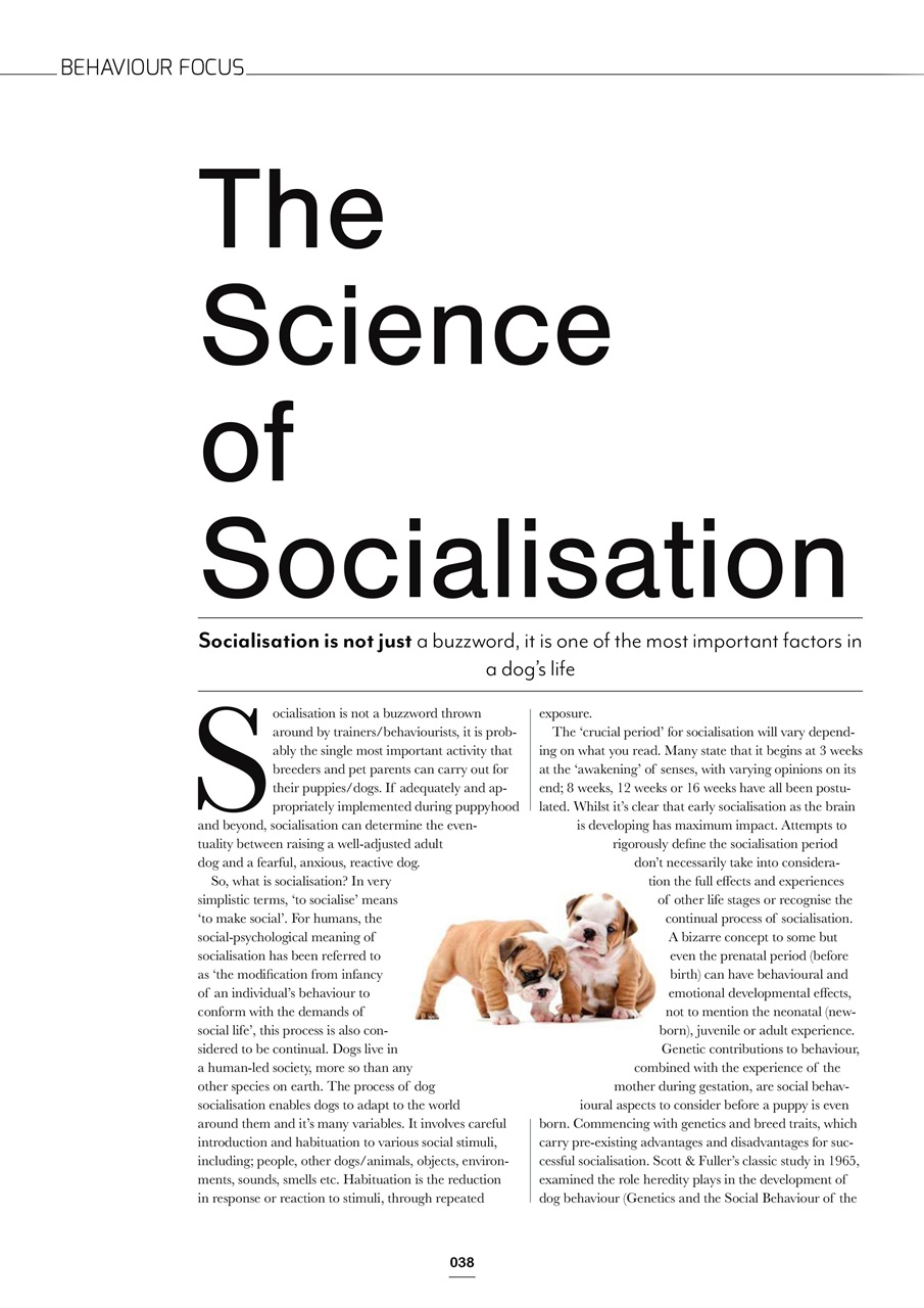 Edition Dog Preview Pages