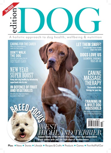 Edition Dog issue 