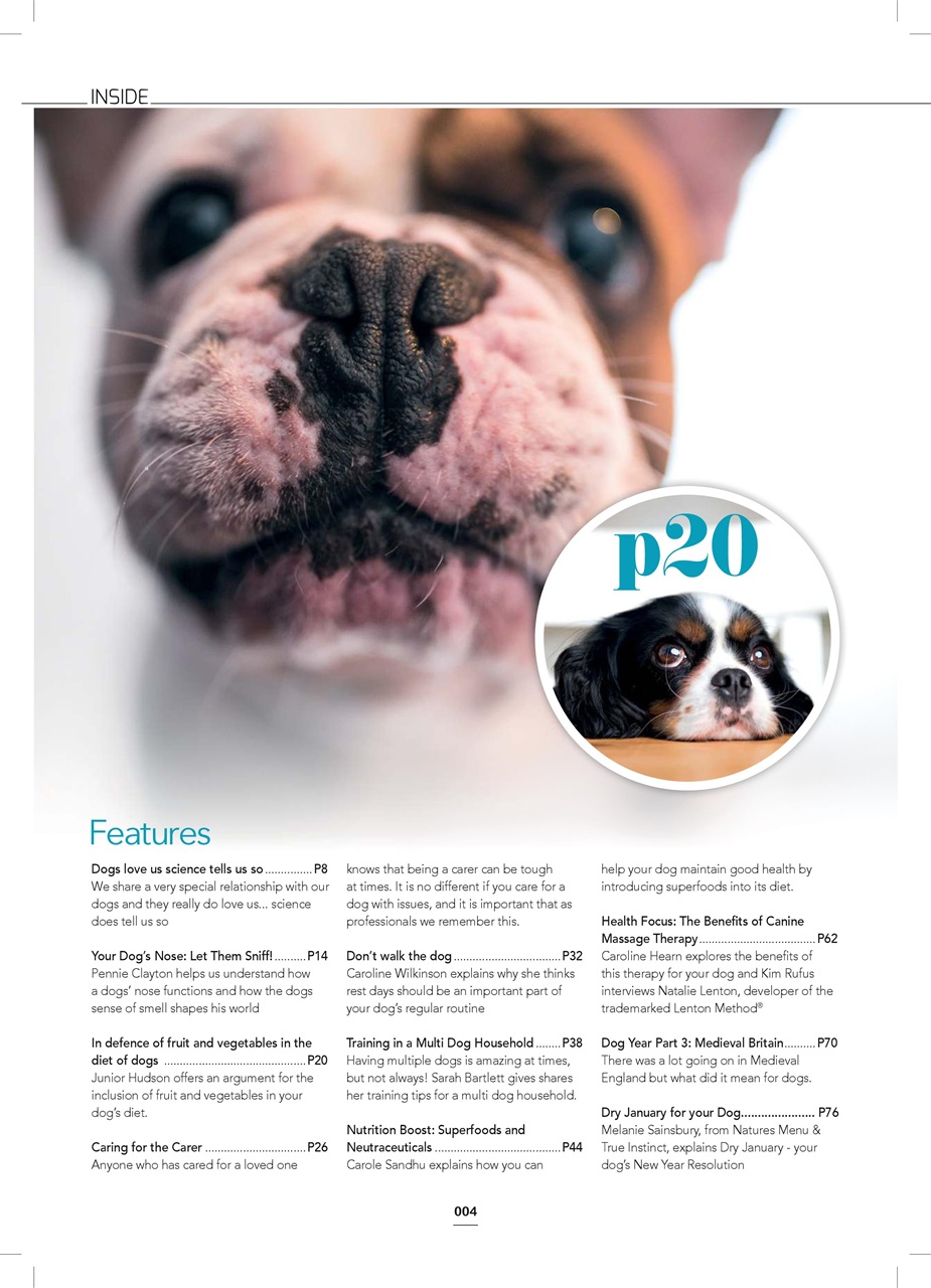 Edition Dog Preview Pages