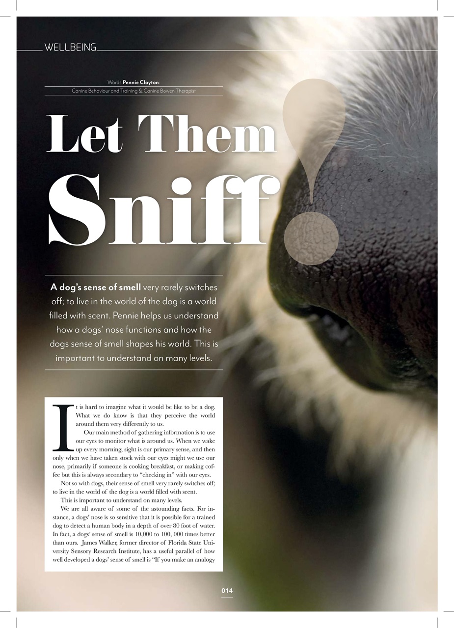 Edition Dog Preview Pages