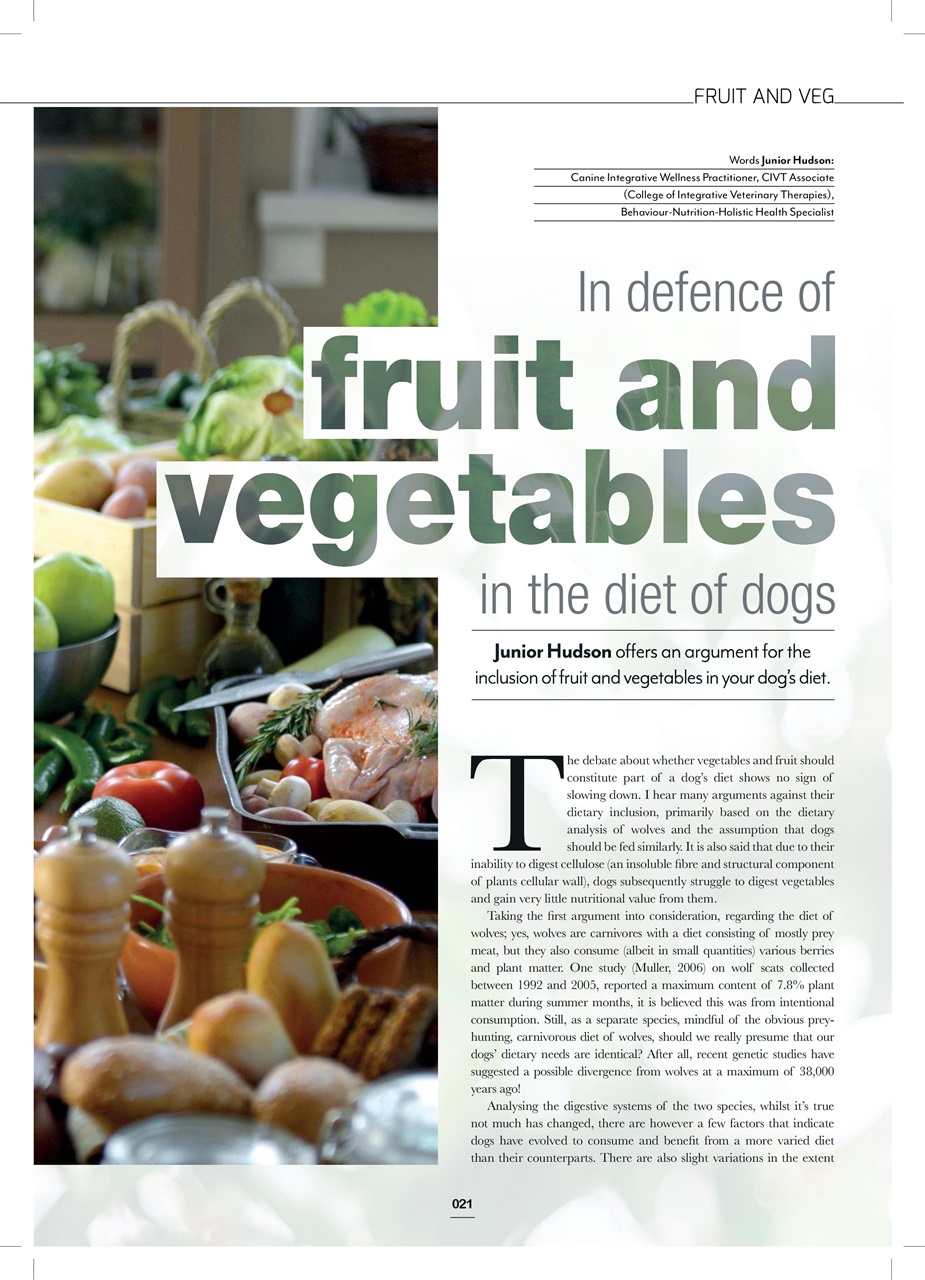 Edition Dog Preview Pages