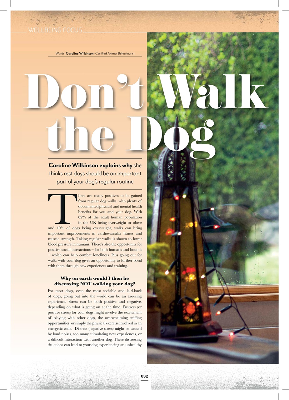 Edition Dog Preview Pages