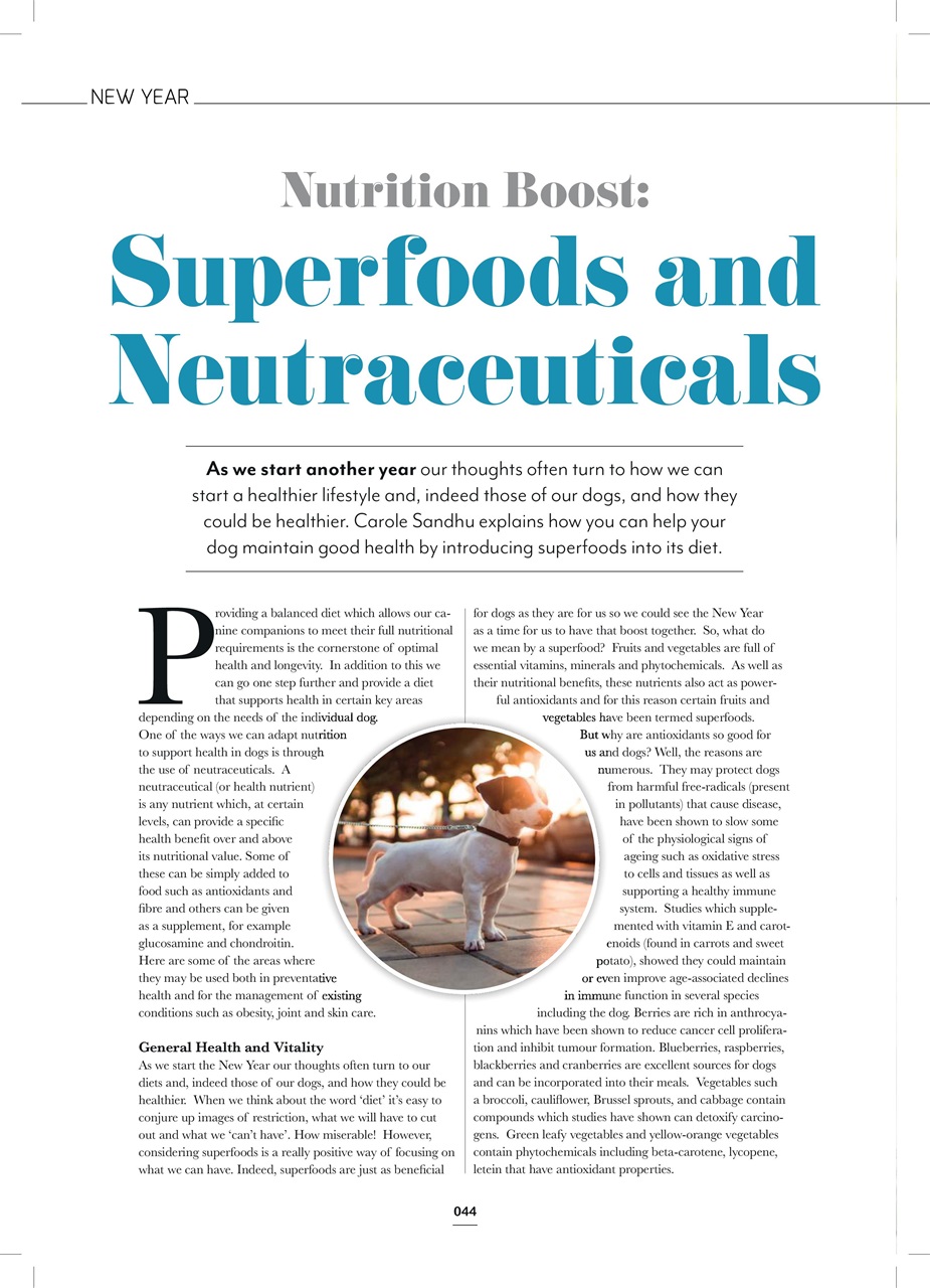 Edition Dog Preview Pages