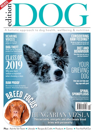 Edition Dog issue 