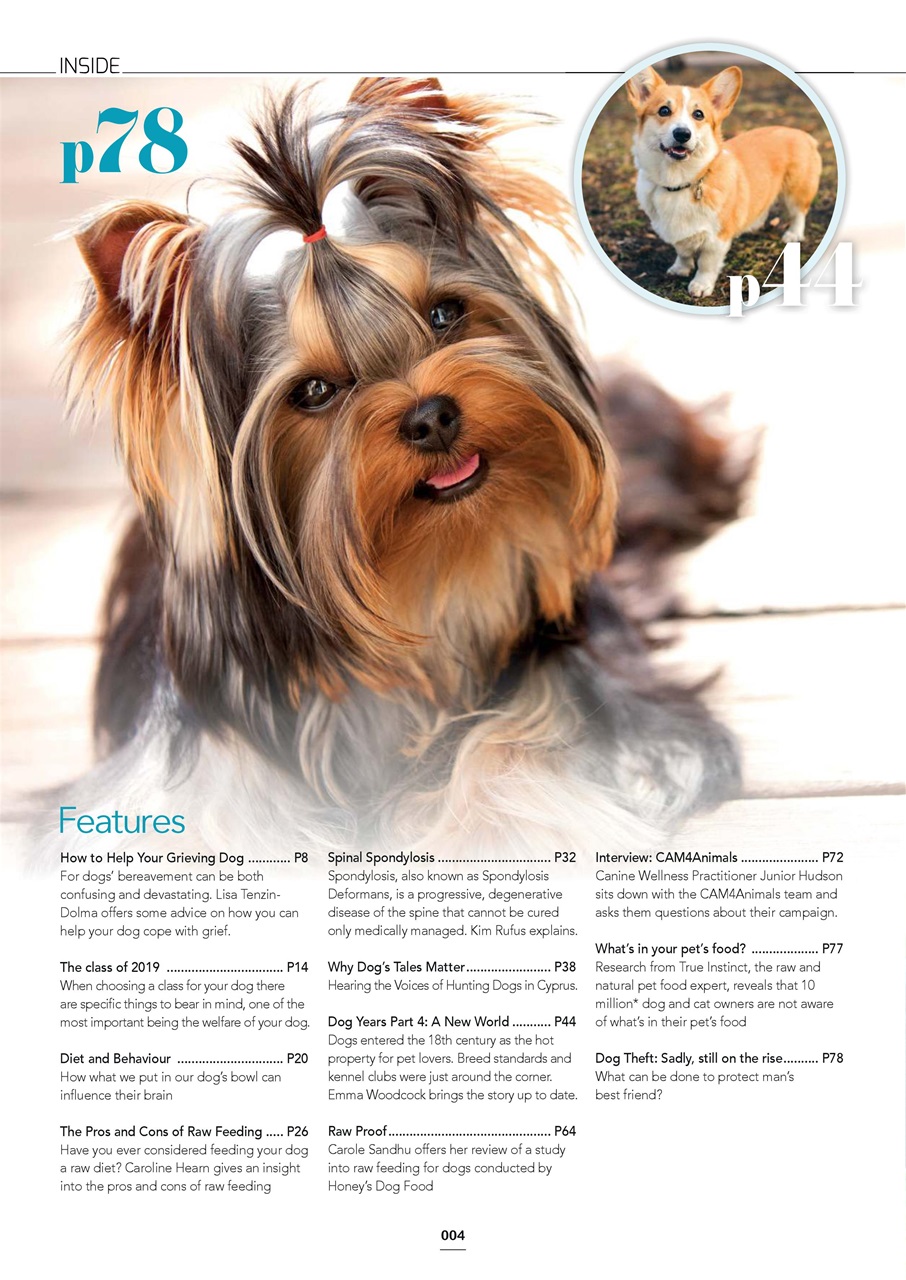 Edition Dog Preview Pages