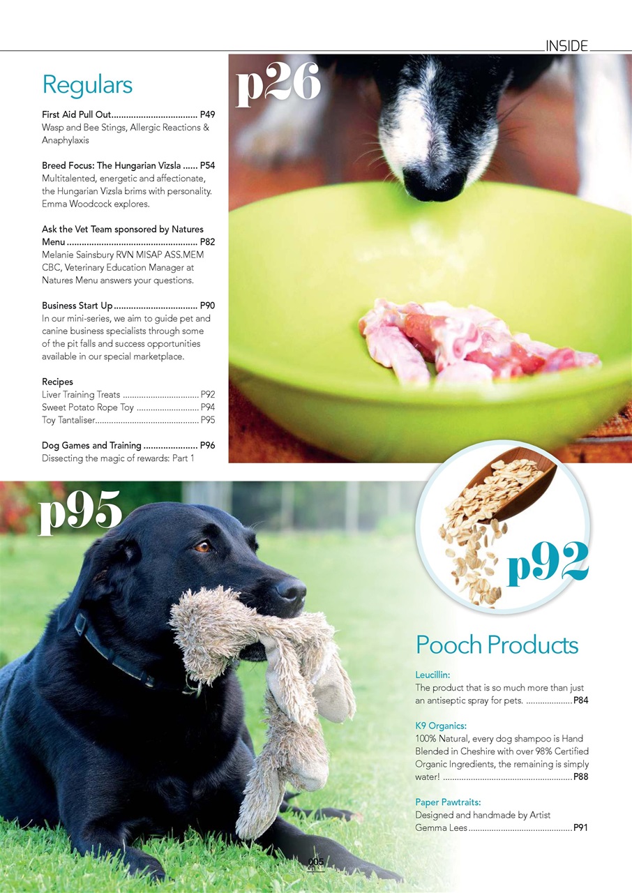 Edition Dog Preview Pages