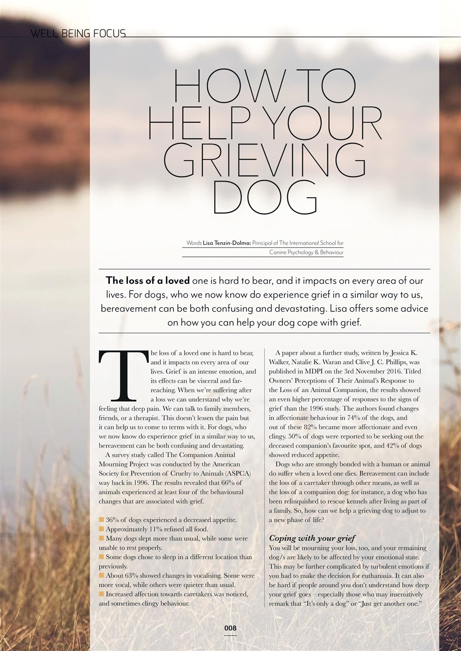 Edition Dog Preview Pages