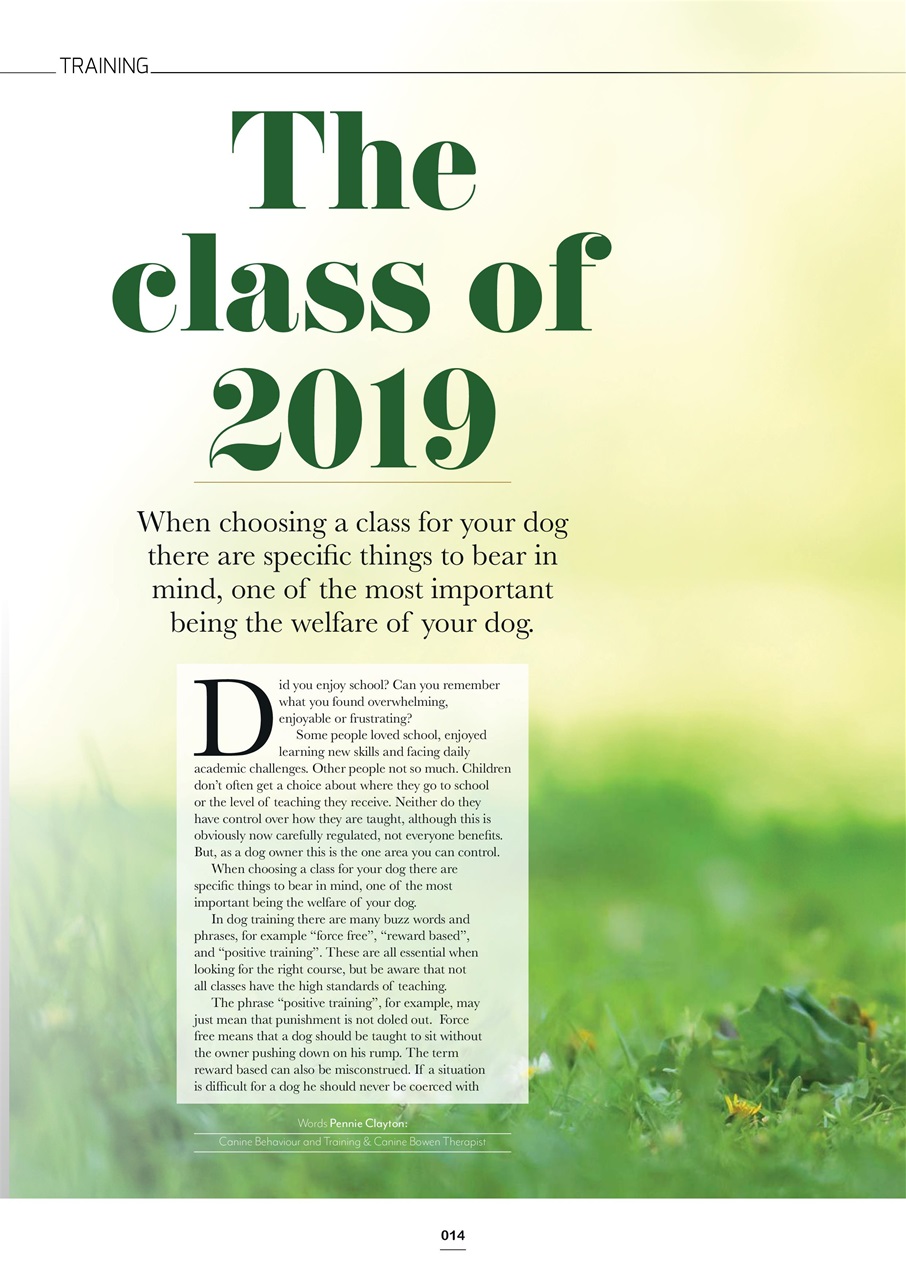 Edition Dog Preview Pages