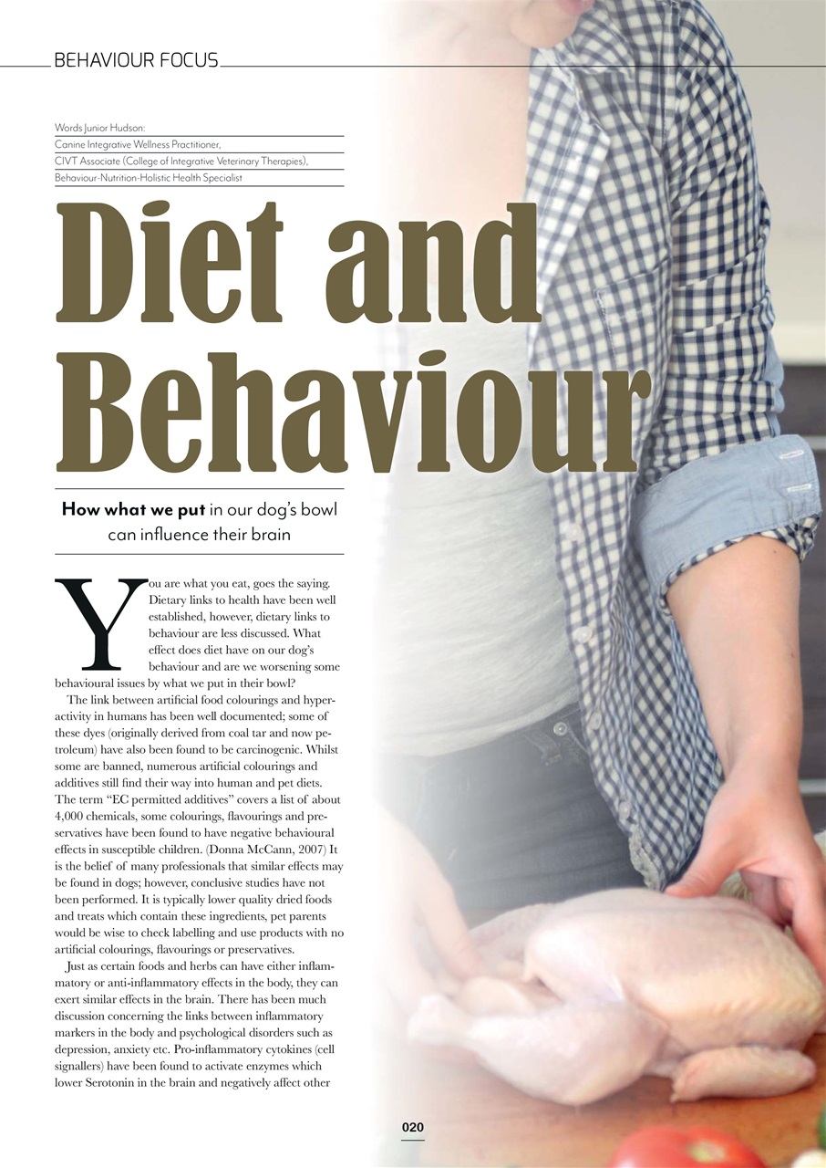 Edition Dog Preview Pages