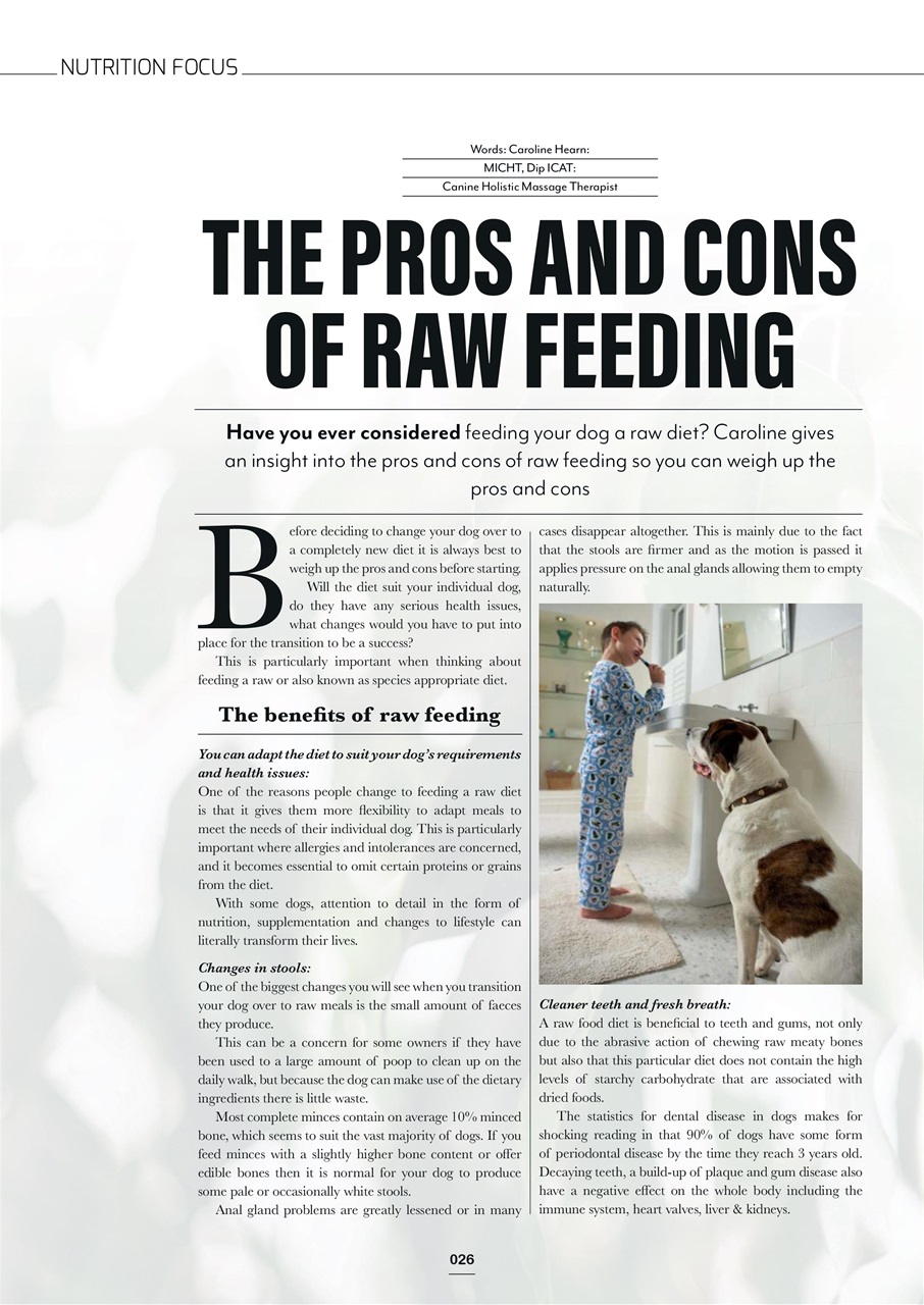 Edition Dog Preview Pages