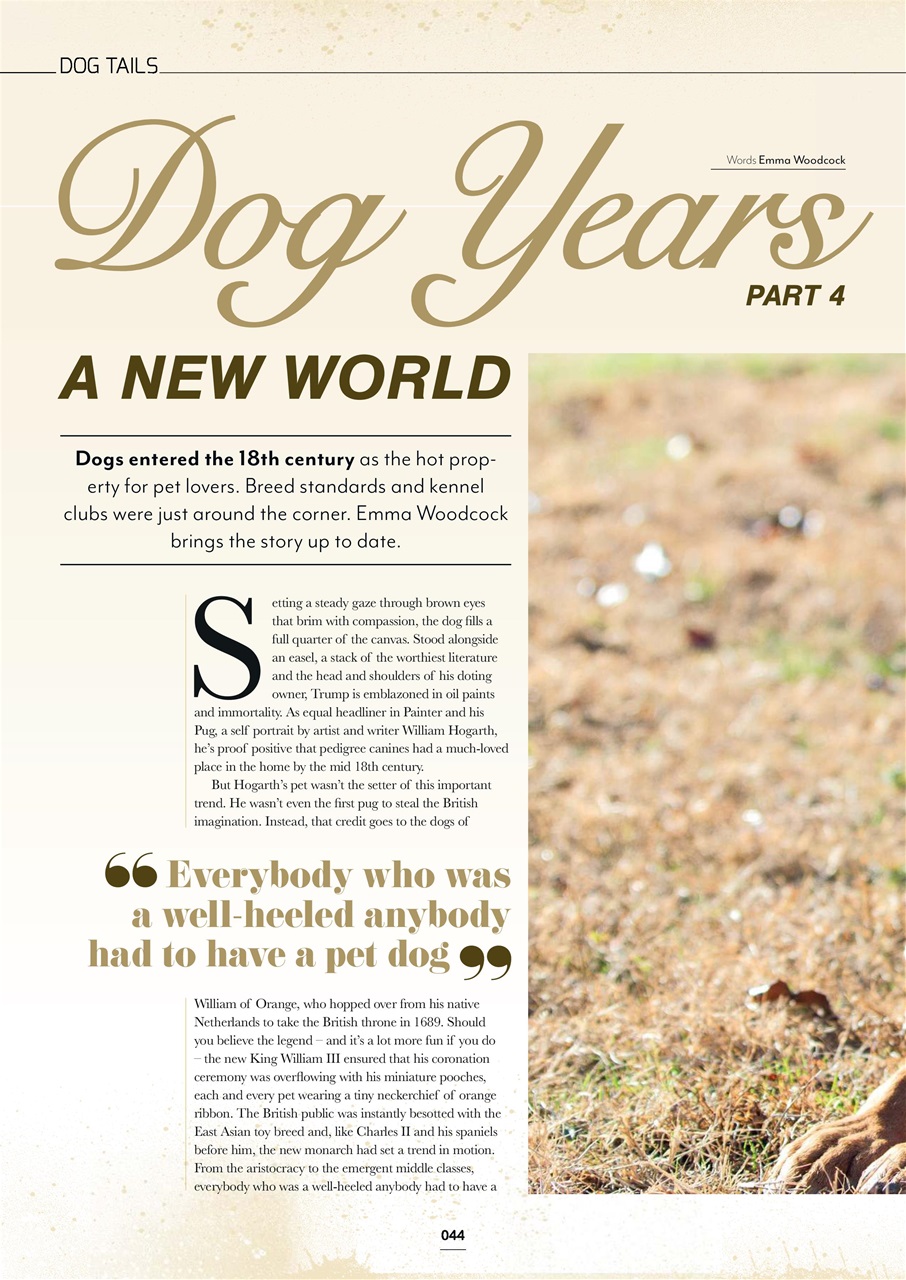 Edition Dog Preview Pages