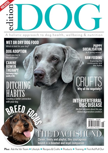 Edition Dog issue 