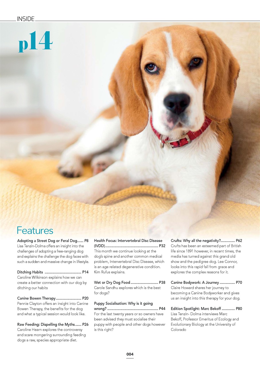 Edition Dog Preview Pages