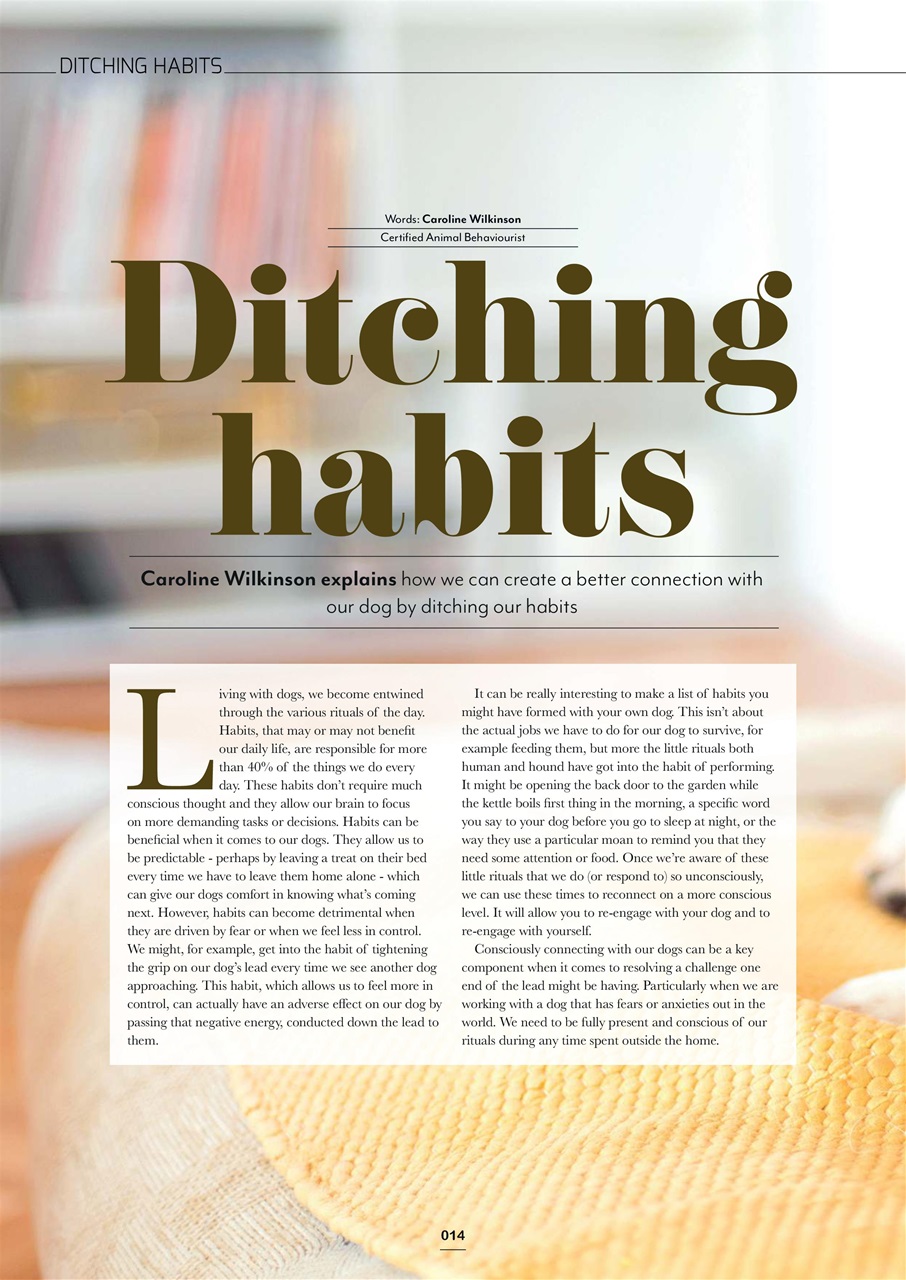 Edition Dog Preview Pages