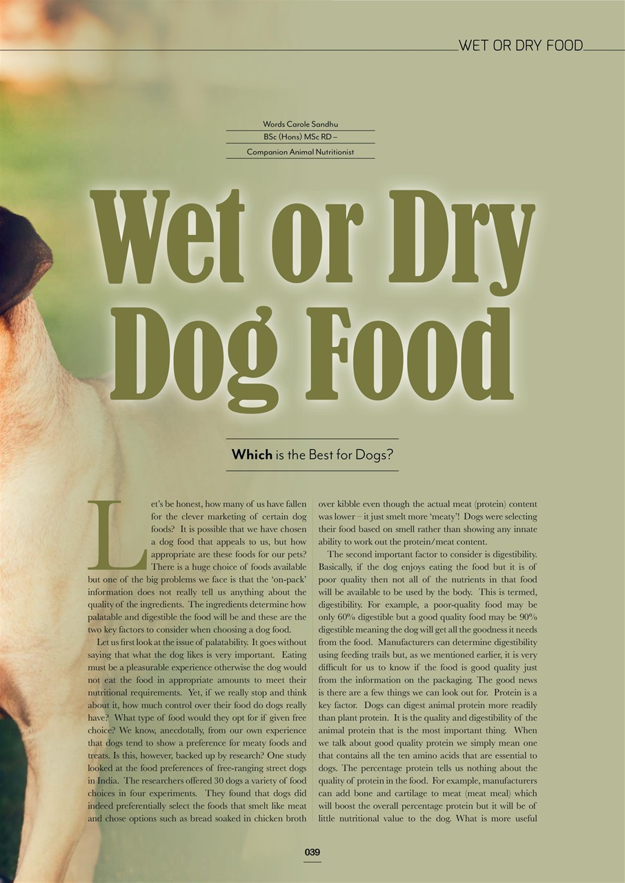 Edition Dog Preview Pages