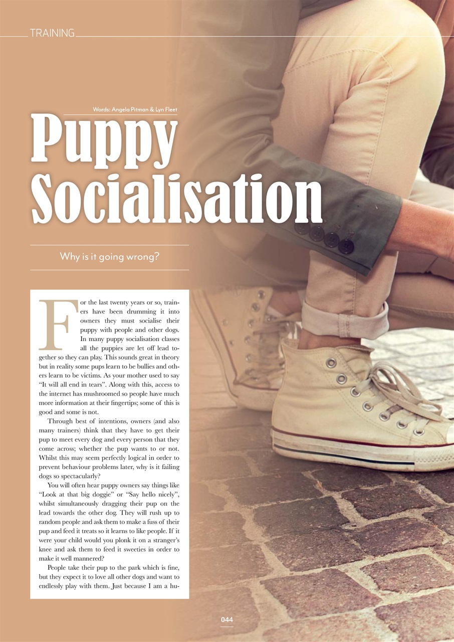 Edition Dog Preview Pages