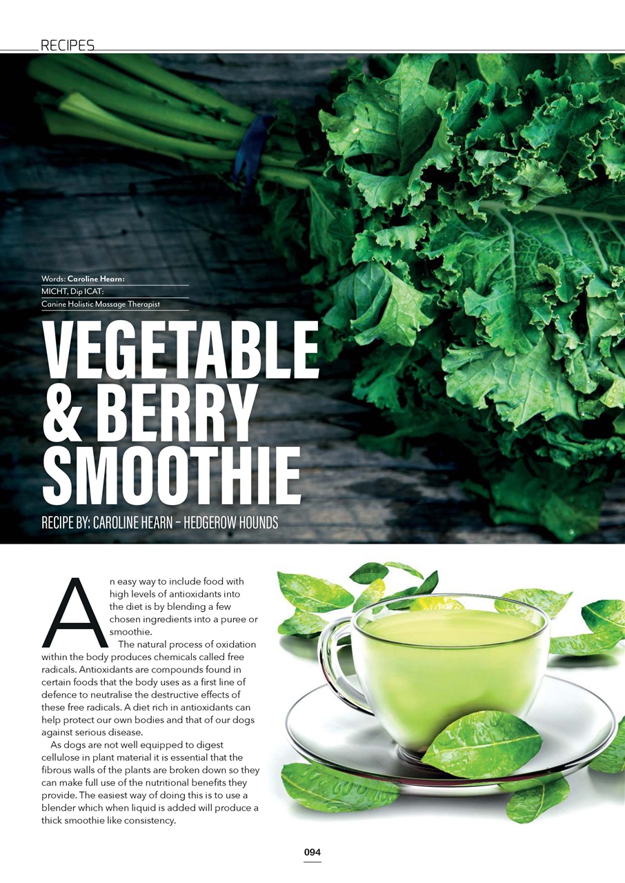 Edition Dog Preview Pages