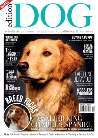 Edition Dog issue Issue 6