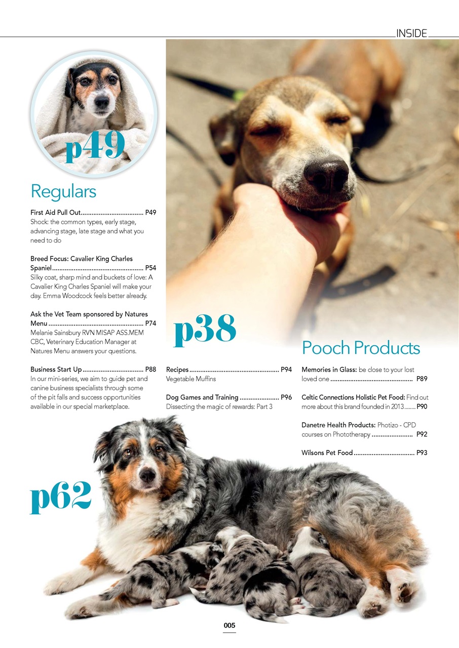 Edition Dog Preview Pages